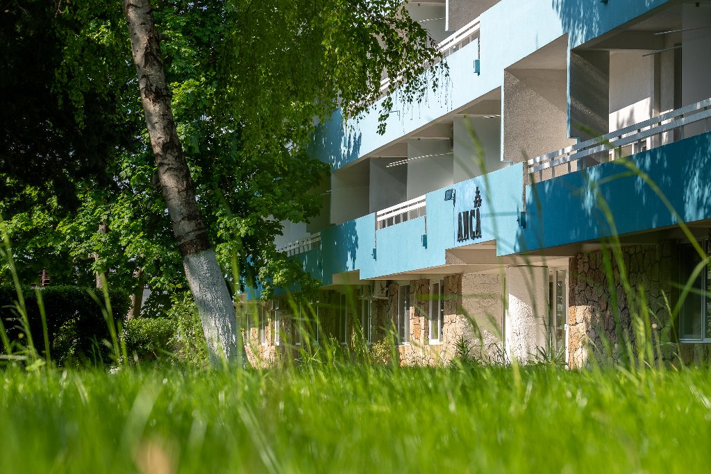 Mera Holiday Resort( Hotel Anca Si Hotel Irina)