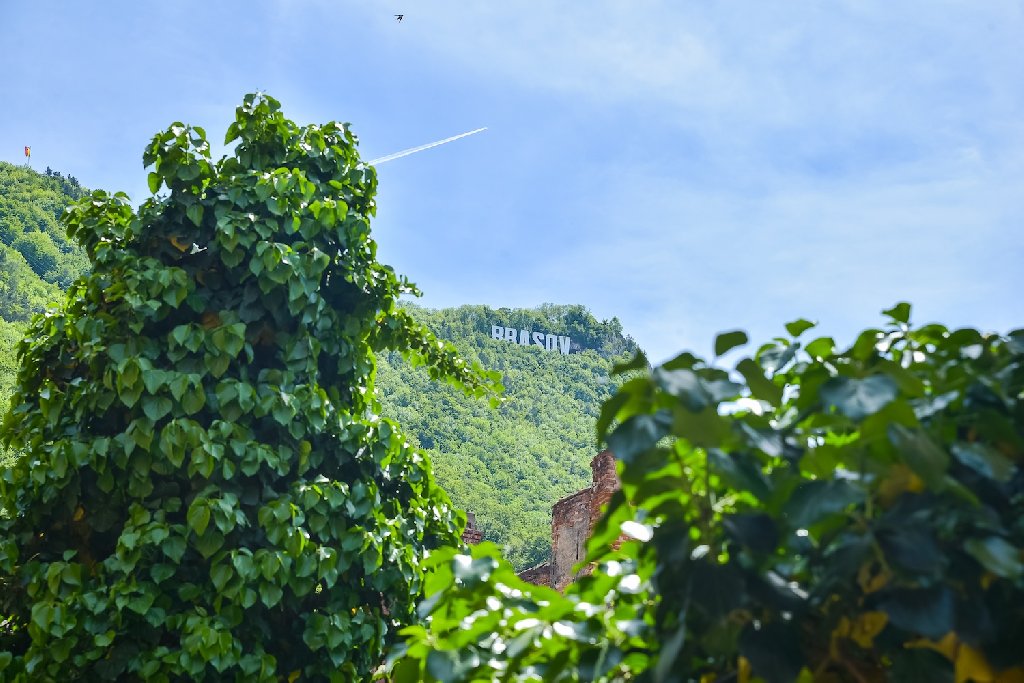 Sbold Town by Holztreppe